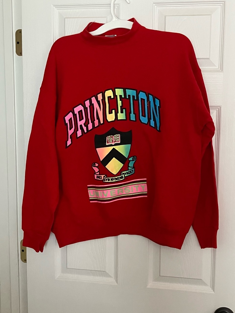 Vintage 80s/90s Princeton University sweatshirt Tultex Large